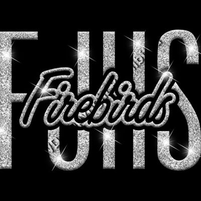 GLT95 SILVER GLITTER Thumbnail