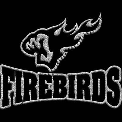 GLT32 SILVER GLITTER Thumbnail